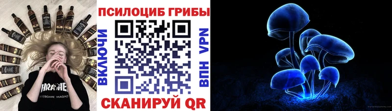 Псилоцибиновые грибы GOLDEN TEACHER  цена наркотик  дарк нет наркотические препараты  Чайковский 